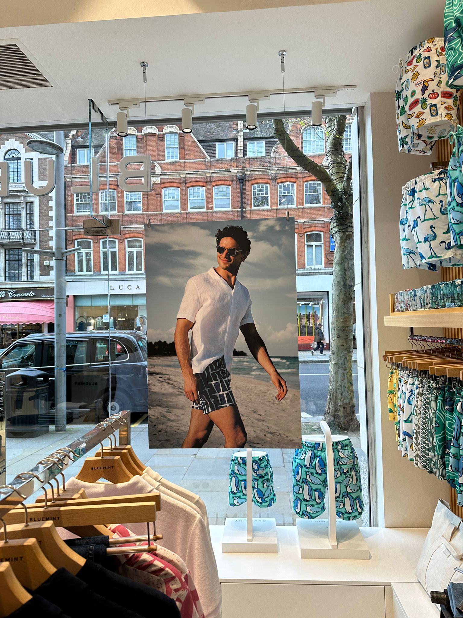 Bluemint London Windows Graphics