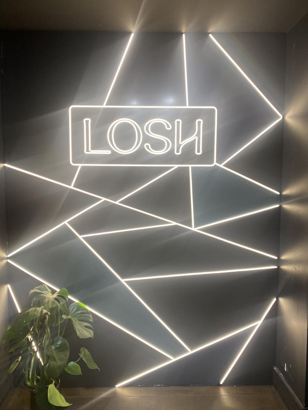 Neon Signs - Image 3